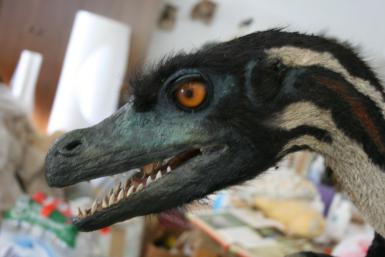 velociraptorwc